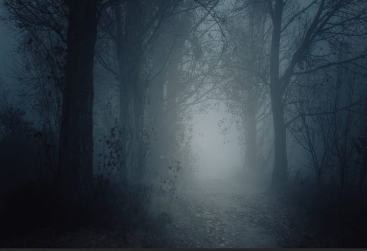 LANO's Slightly Haunted Hike
